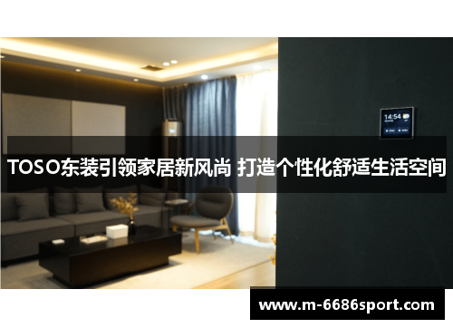 TOSO东装引领家居新风尚 打造个性化舒适生活空间