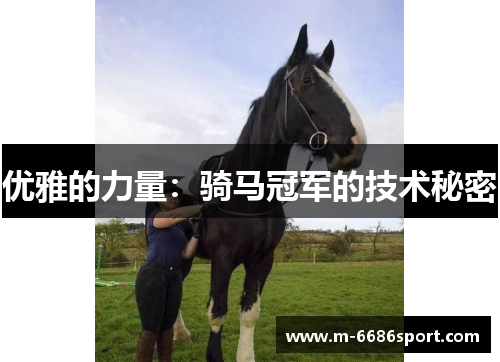 优雅的力量：骑马冠军的技术秘密