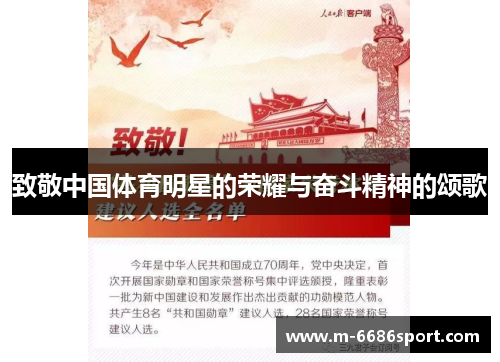 致敬中国体育明星的荣耀与奋斗精神的颂歌